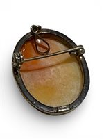 Brosche Mandile 1922 Dame Cammei  in Silber Conchiglia 2MSPCM34 - 2MSPCM34